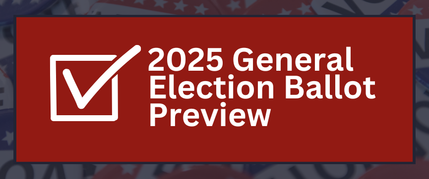 Website General Election Preview 2025